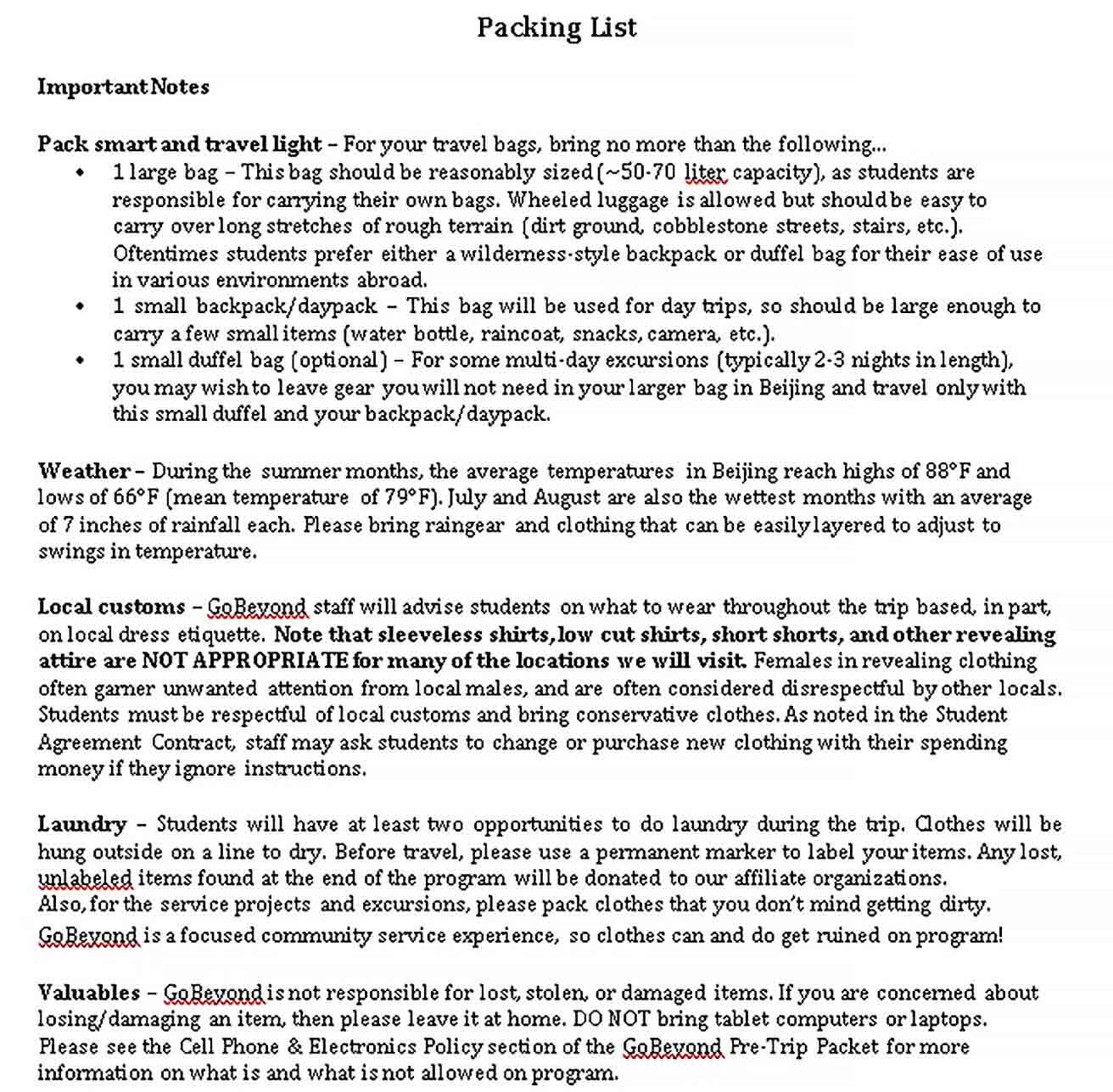 Travel Packing List Templates 4