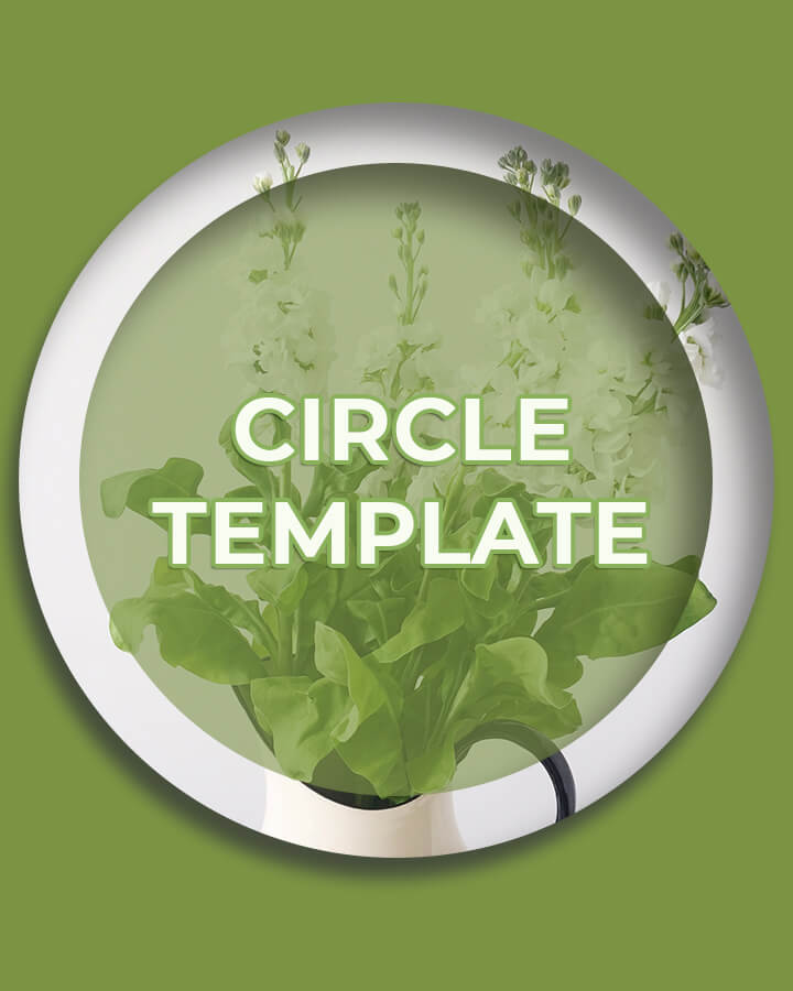 3 inch circle template Free PSD file photoshop