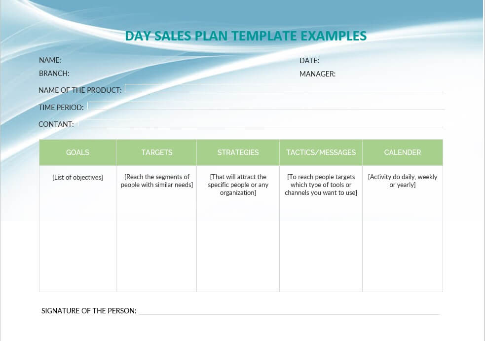 day sales plan template examples 3